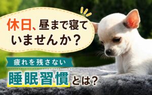 【五反野】休日の寝だめは本当に必要？睡眠リズムを整えるためのポイント